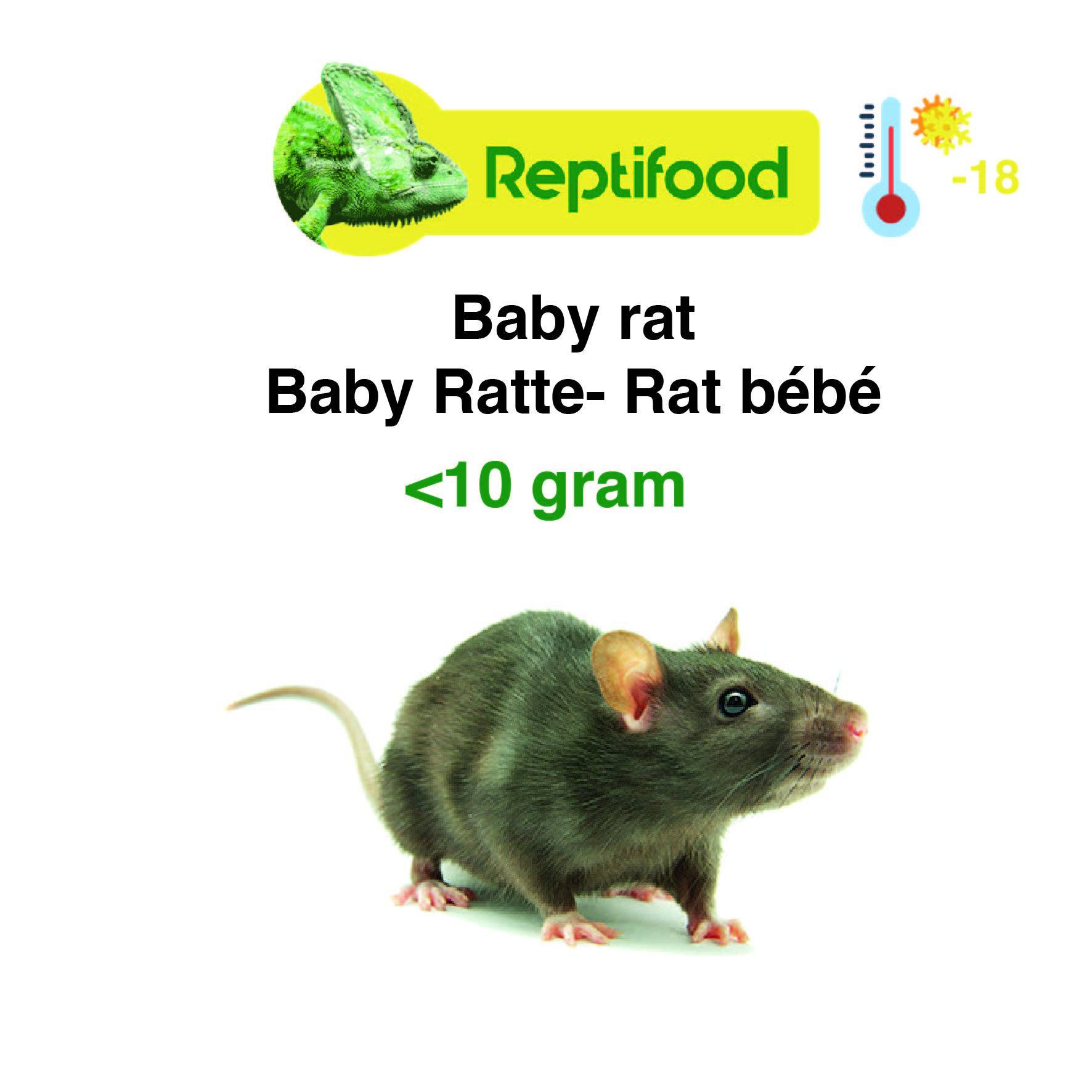 Diepvries Rat baby <10 gram 25st.
